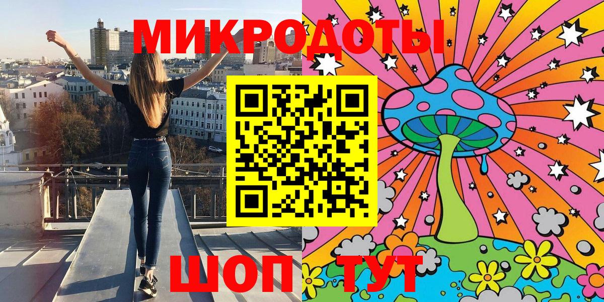 Галлюциногенные грибы Psilocybe Курчалой
