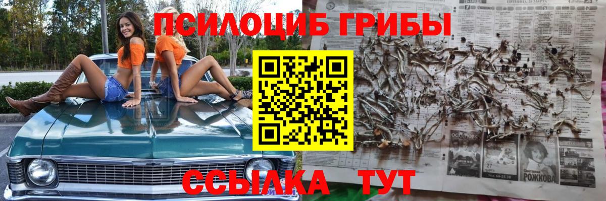 Псилоцибиновые грибы Magic Shrooms  Галлюциногенные грибы GOLDEN TEACHER  Курчалой  Вход с VPN 