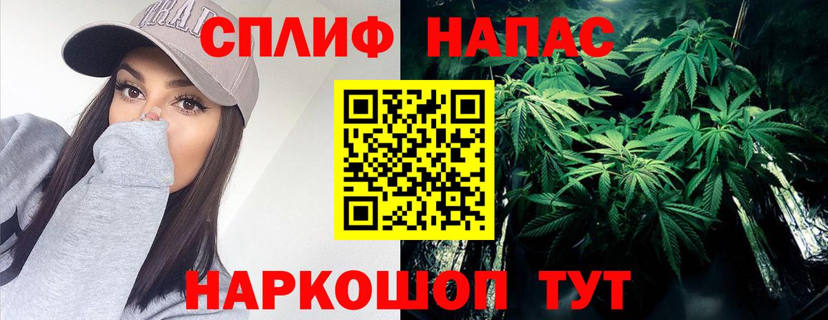 Бошки марихуана гибрид Курчалой